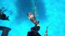 000_001_0440.jpeg