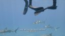000_001_0450.jpeg