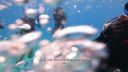 000_001_0453.jpeg