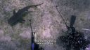 000_001_0463.jpeg