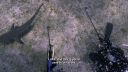 000_001_0464.jpeg