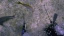 000_001_0465.jpeg