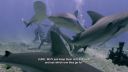 000_001_0468.jpeg
