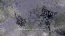 000_001_0481.jpeg
