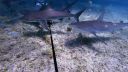 000_001_0488.jpeg
