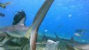 000_001_0492.jpeg