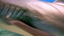000_001_0495.jpeg