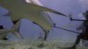 000_001_0548.jpeg