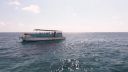 000_001_0589.jpeg