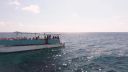 000_001_0590.jpeg