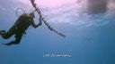000_001_0608.jpeg