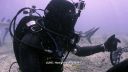 000_001_0632.jpeg