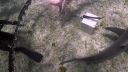 000_001_0649.jpeg