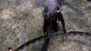 000_001_0650.jpeg