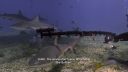 000_001_0652.jpeg
