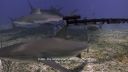 000_001_0653.jpeg