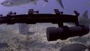 000_001_0658.jpeg