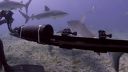 000_001_0660.jpeg