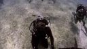000_001_0667.jpeg