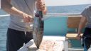 000_001_0713.jpeg