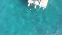 000_001_0743.jpeg