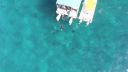 000_001_0744.jpeg