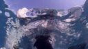 000_001_0750.jpeg