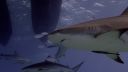 000_001_0754.jpeg