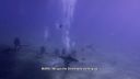 000_001_0761.jpeg