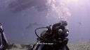 000_001_0772.jpeg