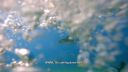 000_001_0788.jpeg