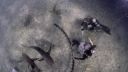 000_001_0796.jpeg