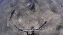 000_001_0801.jpeg