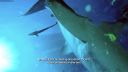 000_001_0802.jpeg