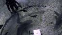 000_001_0823.jpeg