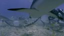 000_001_0828.jpeg
