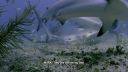 000_001_0837.jpeg