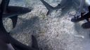 000_001_0839.jpeg
