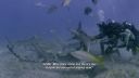 000_001_0844.jpeg