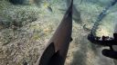 000_001_0846.jpeg