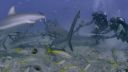 000_001_0855.jpeg