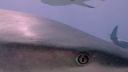 000_001_0858.jpeg