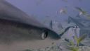 000_001_0859.jpeg