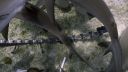 000_001_0861.jpeg