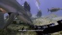 000_001_0867.jpeg