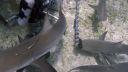 000_001_0870.jpeg