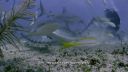000_001_0873.jpeg