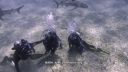 000_001_0876.jpeg