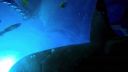 000_001_0877.jpeg