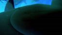 000_001_0878.jpeg